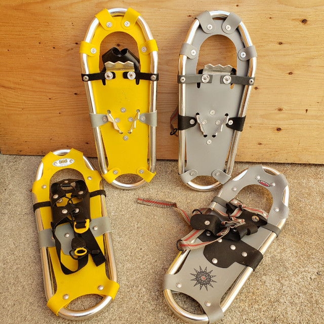 Snow shoes in Ski in Nelson