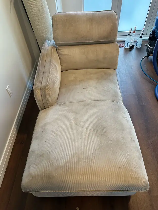 sofa & carpet shampoo 