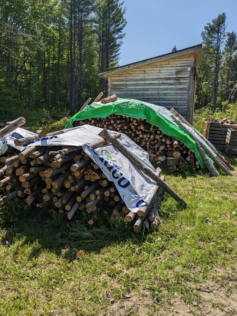 Hardwood limbwood lenghts Fireplace & Firewood Ottawa Kijiji