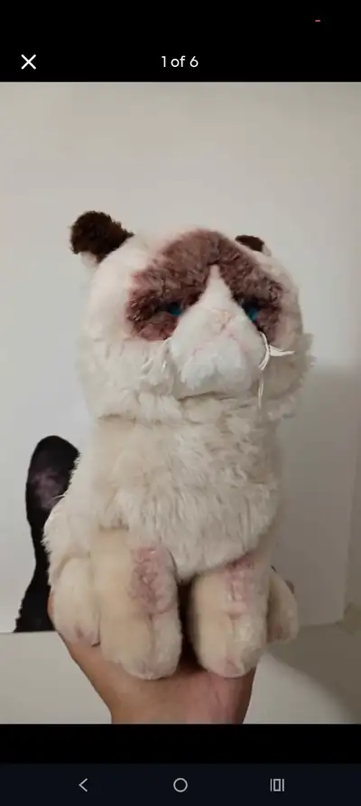 Grumpy cat official gund plush , View more
