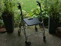 Walker Rollator Sunburst Freedom Plus 4200BR