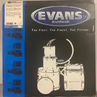 Drum Head - Evan's 15" Snare Side, Hazy 300