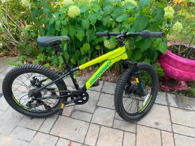 Diamondback Snake 20 Inch Junior Mountain Bike, View more