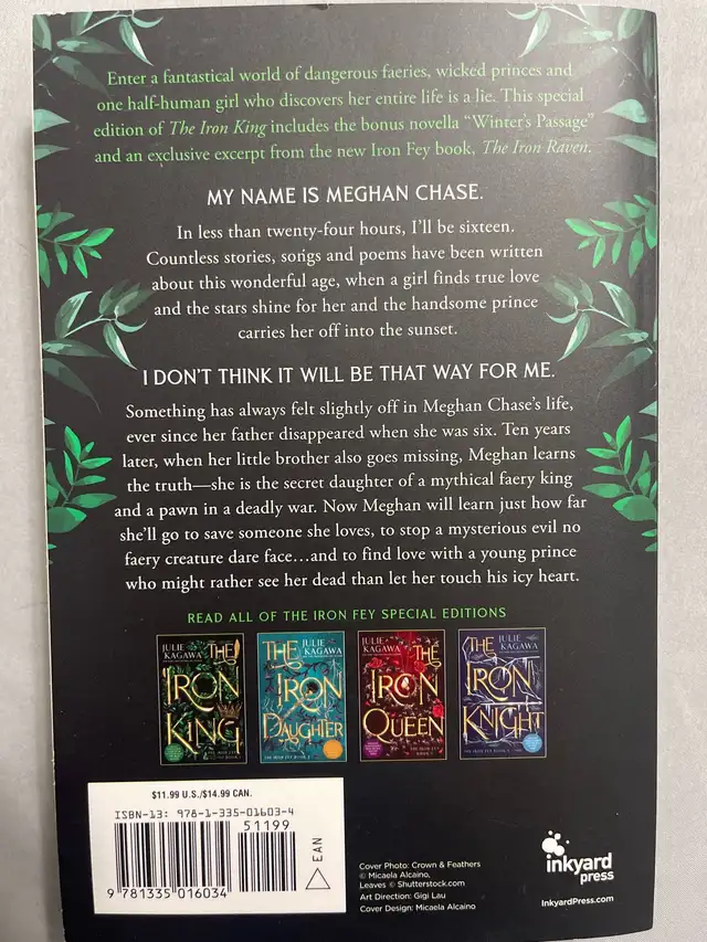 The Iron King and Iron Daughter (Iron Fey Books 1 & 2) in Children & Young Adult in Mississauga / Peel Region - Image 5