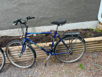 2 Raleigh 6 speed bikes for sale