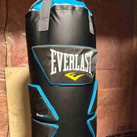 80lb bag + boxing equipment 