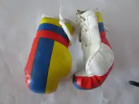 Colombia Boxing Gloves