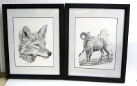 Coyote and Mountain Goat Pen and Ink Prints by Artist Hap Wilson