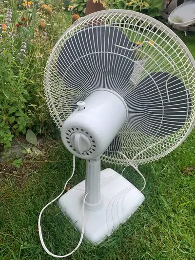 fan Oscillating fan, View more