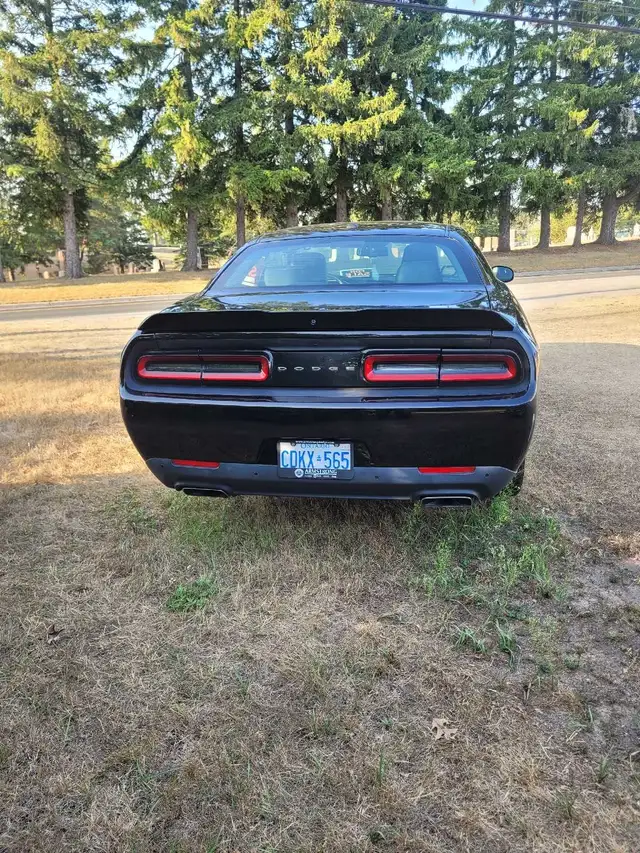 2016 Dodge Challenger RT518967496656834562