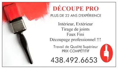 Peintre proffessionel tireur de joints, View more