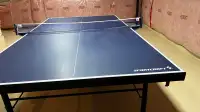 Ping Pong/ Table Tennis