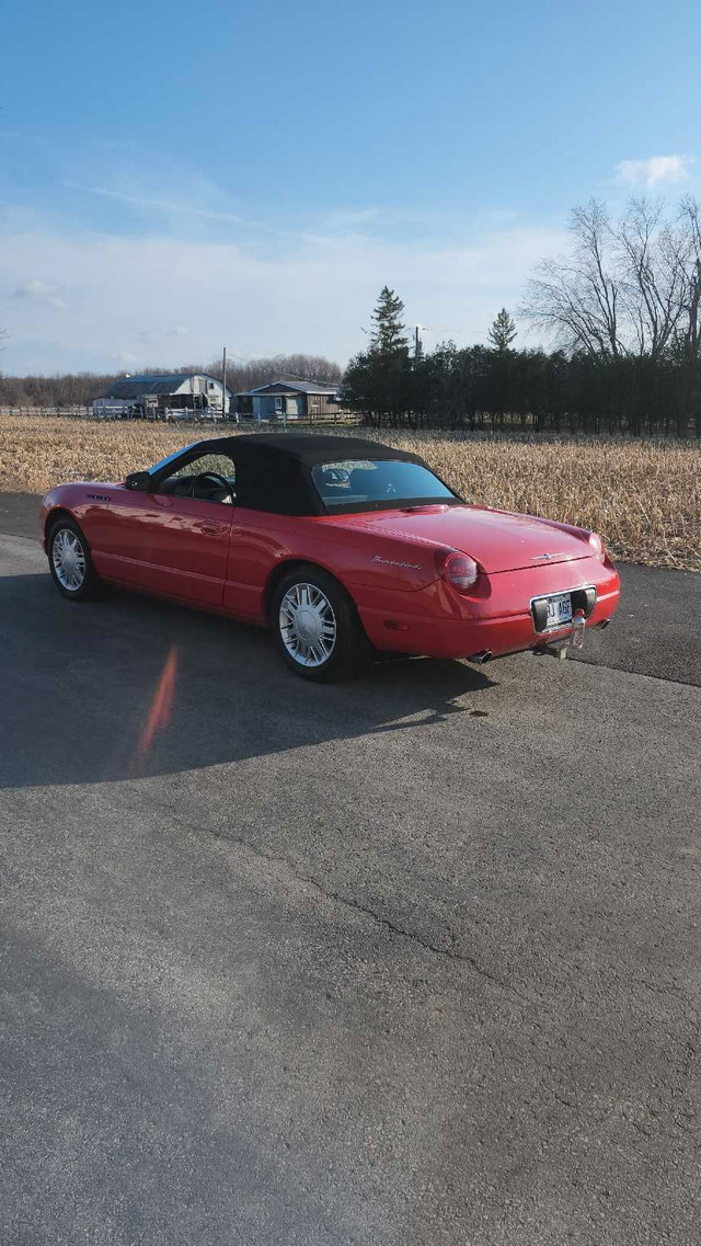 Thunderbird  dans Voitures d'époque  à Ouest de l’Île - Image 3