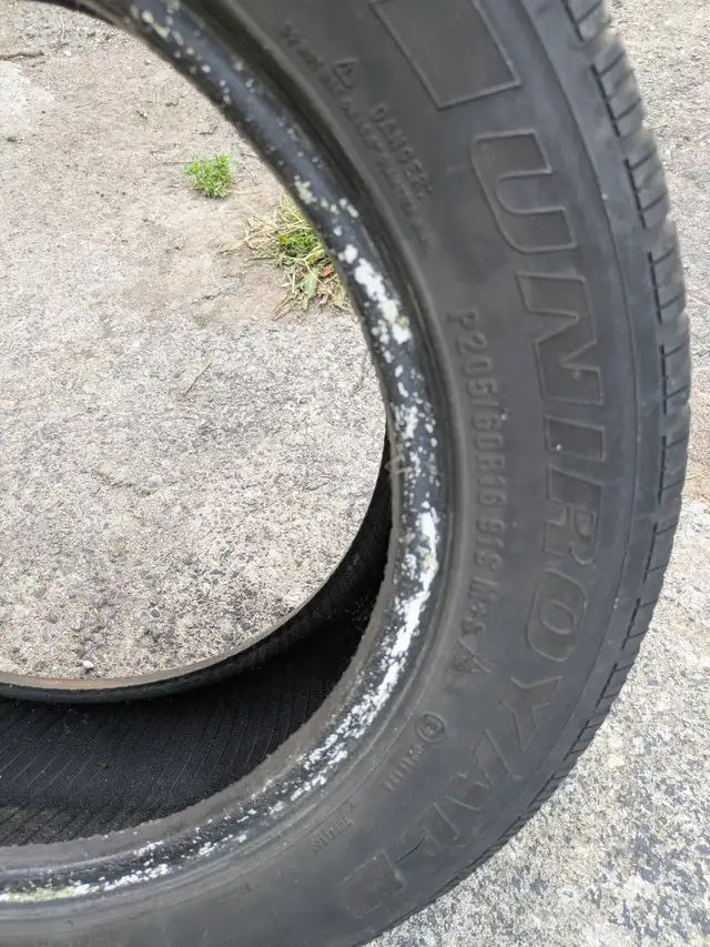 Uniroyal Tiger Paw Winter Tire! in Tires & Rims in City of Toronto - Image 7