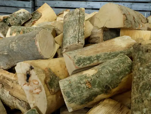 Drop off logs  for free in Other in City of Toronto - Image 5