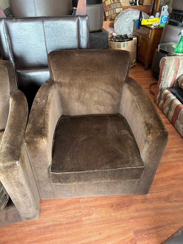 Tub chairs  in Chairs & Recliners in New Glasgow - Image 3