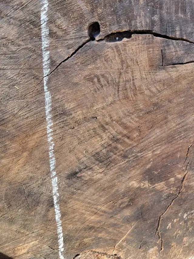 Various Live Edge Wooden Slabs in Other in Ottawa - Image 6