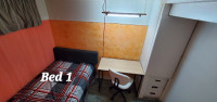 1 Room For Rent/Shared Living Space