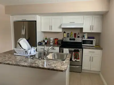 I bdrm furnished basement