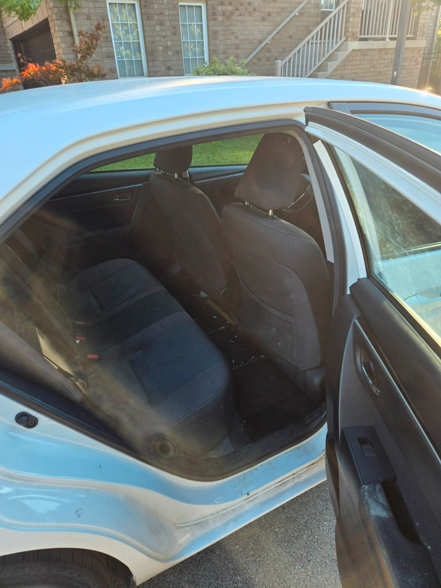 A Clear 2017 Toyota Corolla in Cars & Trucks in Hamilton - Image 4
