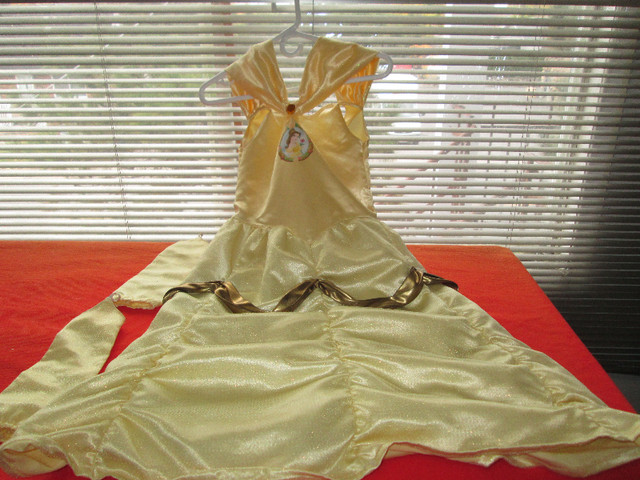 2. Superbe Robe -  Fête Party Costume Belle Cendrillon 28" dans Jouets et jeux  à Longueuil/Rive Sud