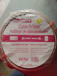 Cable TV wire
