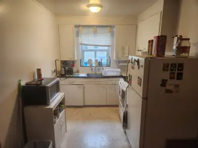 Roommate needed