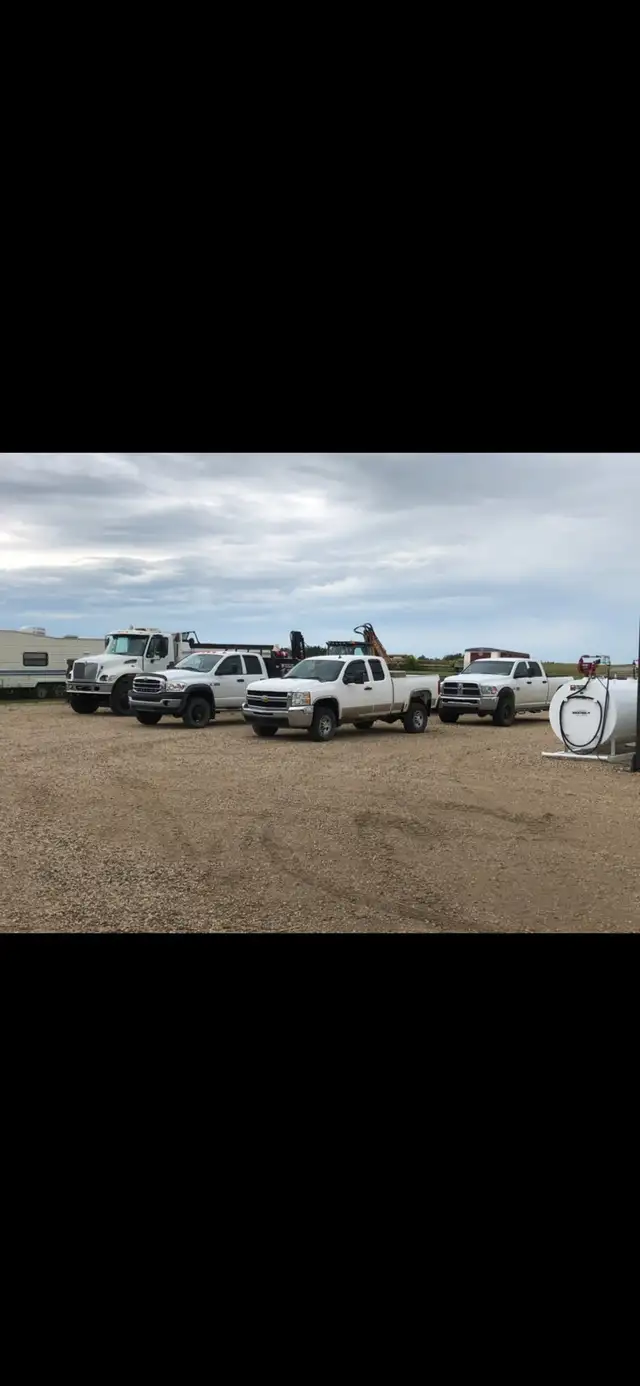 Grass Seeding64357847914627121