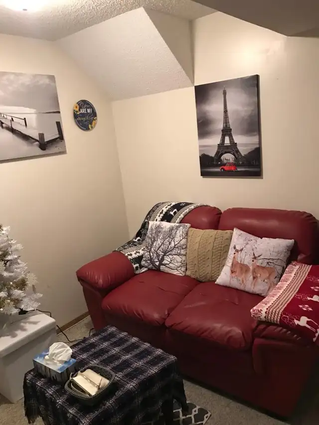 1 bedroom 1 bathroom basement suite for rent in Martindale NE