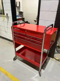Blue - point ( Snap on) Service Cart