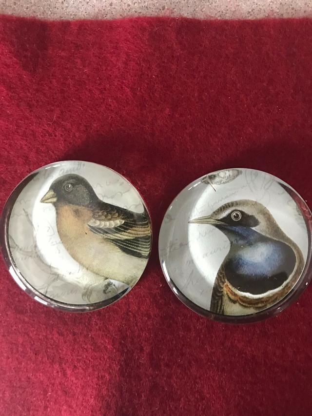 Pair of Glass ‘Birds’ Paperweights-3” in Diameter in Arts & Collectibles in Bedford