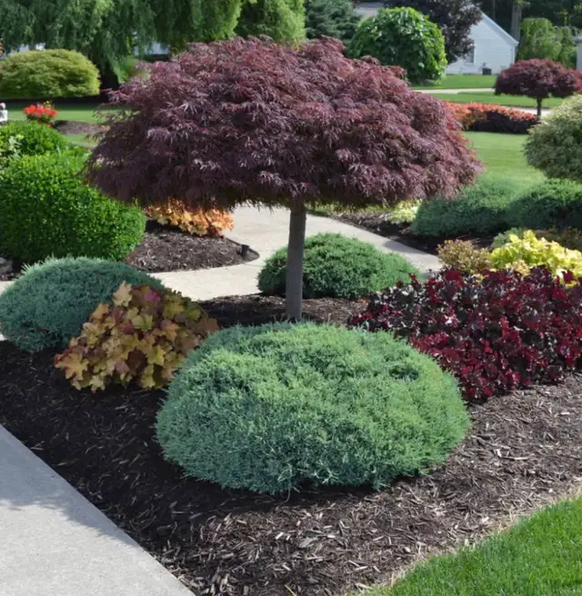 Tree removal, landscaping outdoor cleaning decking fence in Other in Mississauga / Peel Region - Image 3