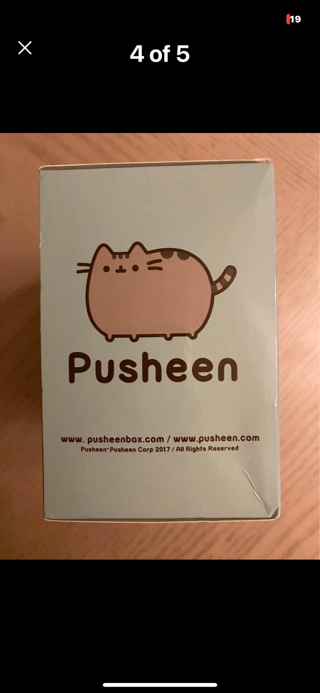 Pusheen Cat Wireless Bluetooth Speakers  in General Electronics in City of Toronto - Image 4
