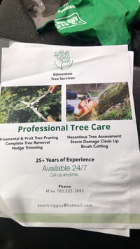 Affordable  Tree service 