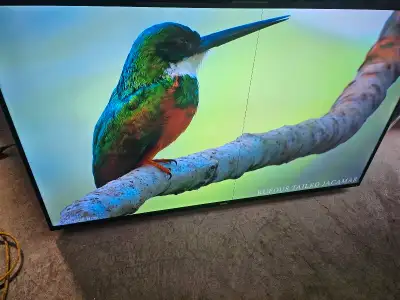 NOT TOLERATING ANY OFFERS AT ALL AT THIS CHEAP PRICE. TAKE IT OR LEAVE IT DEAL. This is 55" onn 4K R...