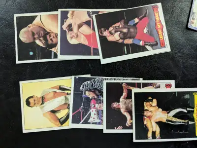 WWF trading cards, View more