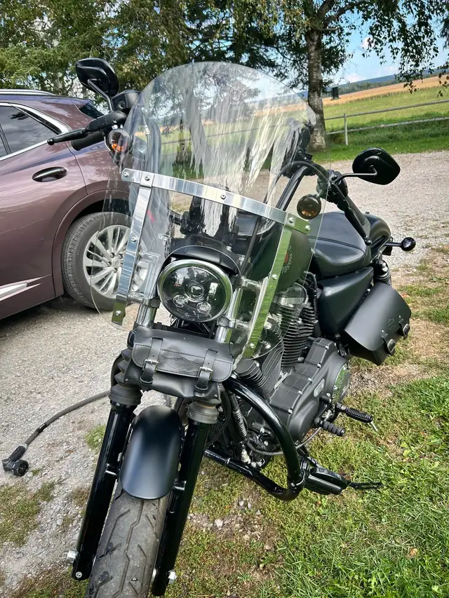 2021 HD Sportster 883 Iron - only 1,140km! in Street, Cruisers & Choppers in Barrie - Image 9