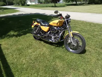 2005 Sportster Roadster 1200 not a 883 converted. Has new steer tire on a multi spoke rim with dual...