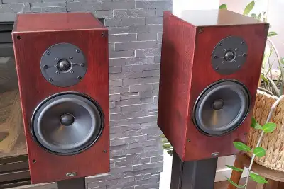 A/D/S/ S700 speakers in real wood veneer w/Skylan stands, View more