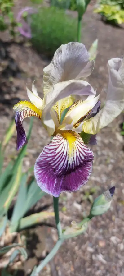 FOR SALE, View more