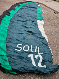 Flysurfer Soul 12M