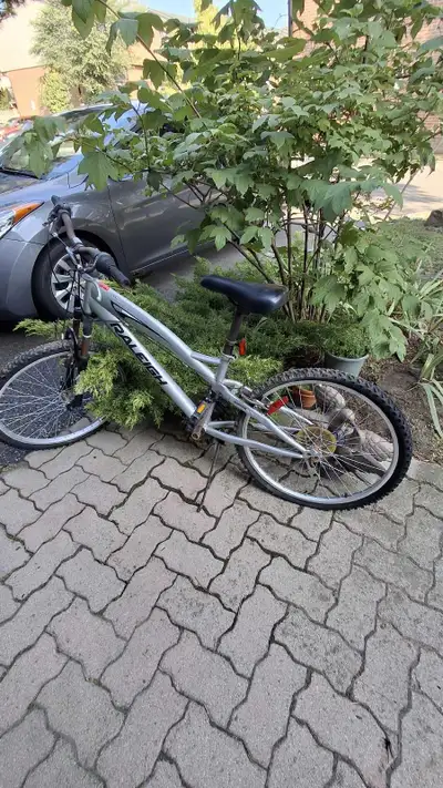 Raleigh Bicycle Frame,  Parts and accessories, View more