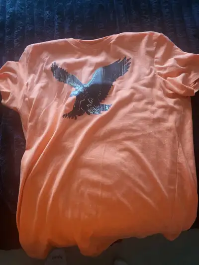 Puma and American Eagle T-Shirt Bundle, View more