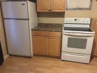 Basement Apartment shared kitchen & laundry room