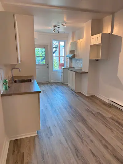 Hcochela beau 3 1/2 entierement renové