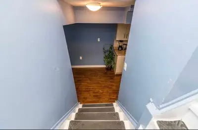 Basement for rent
