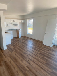 NEW APARTMENTS AVAILABLE FOR RENT MAY 1, 2024 IN PRINCE RUPERT