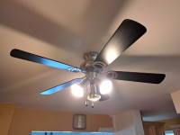 Ceiling fan. Brushed nickel with black blades.