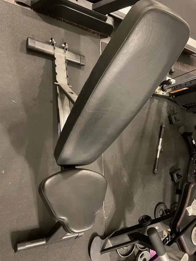 flat/decline/incline bench. 