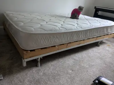 Bed, 49 by 79 inch, mattress, wood and metal base, ok condition, View more